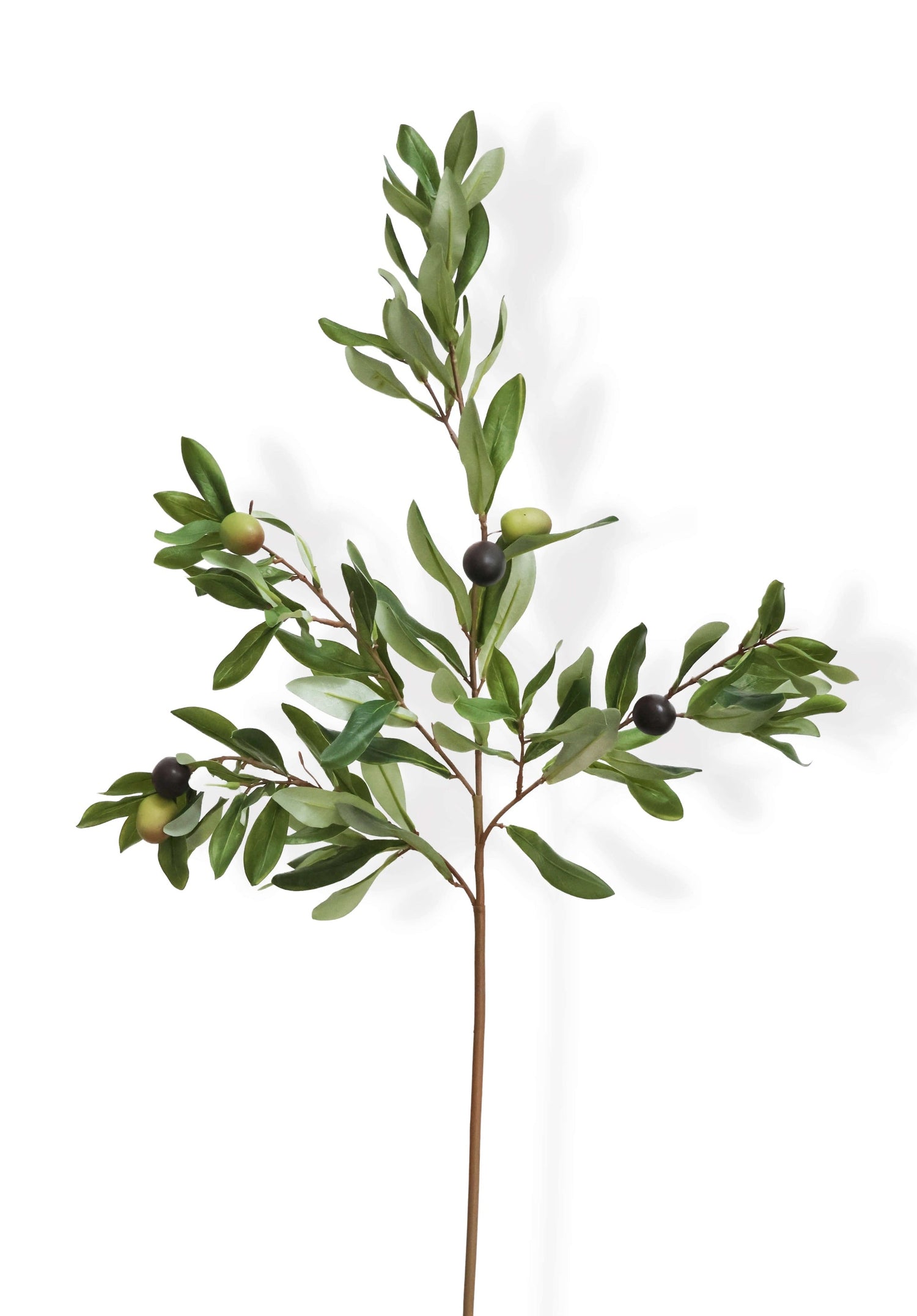 Artificial olive branch with green leaves and small black fruits on a white background
