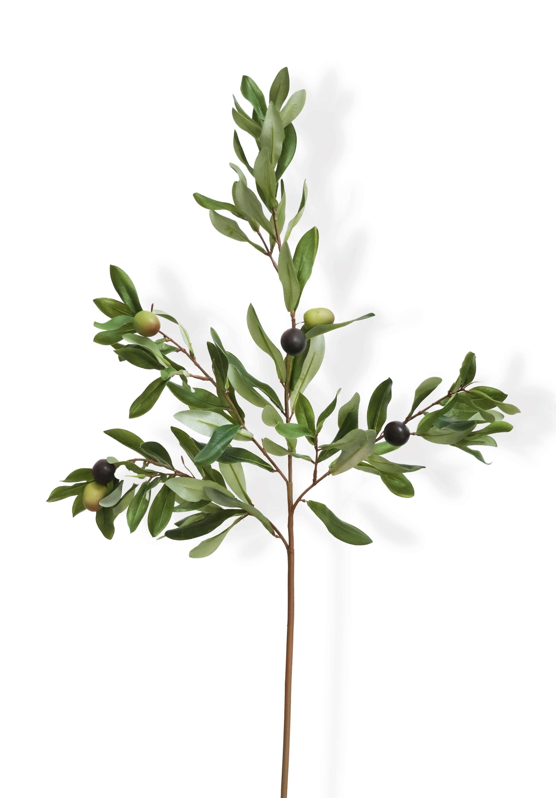 Artificial olive branch with green leaves and small black fruits on a white background
