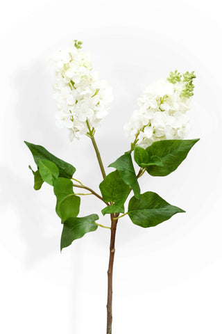 Artificial white lilac flower stem with white flowers and green leaves on a white background