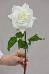 Faux White Rose