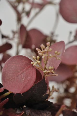 EX-DISPLAY Faux Burgundy Foliage Bouquet