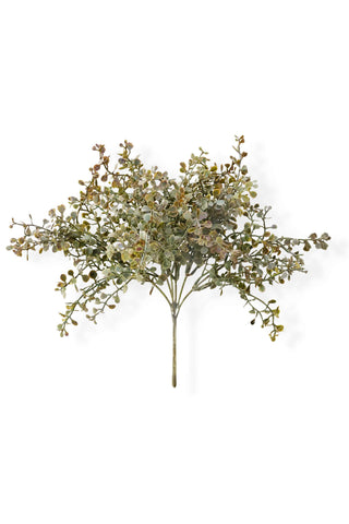 Artificial eucalyptus bush on white background