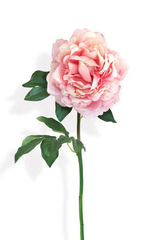 faux pink peony with green leaves on white background