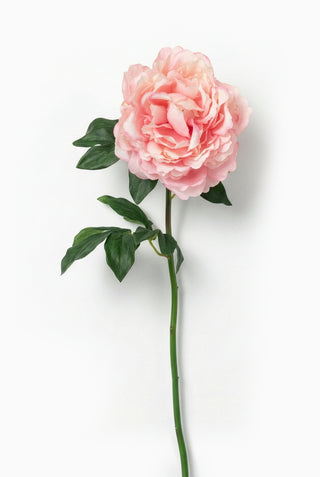 Pink artificial peony flower with green leaves on a white background