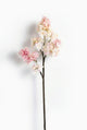 Powder Pink
