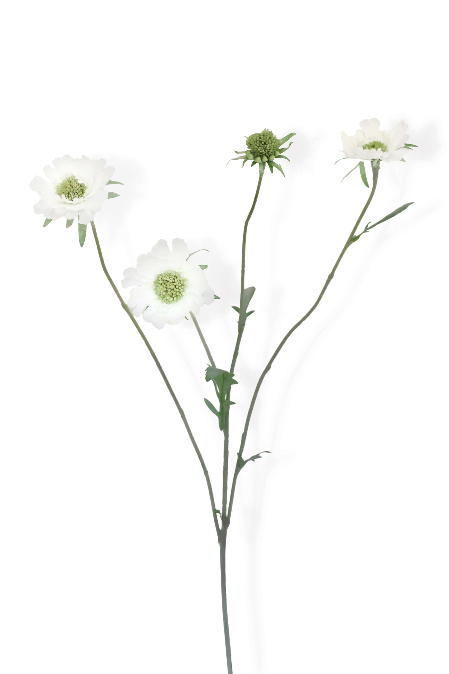 Faux White Scabious Spray