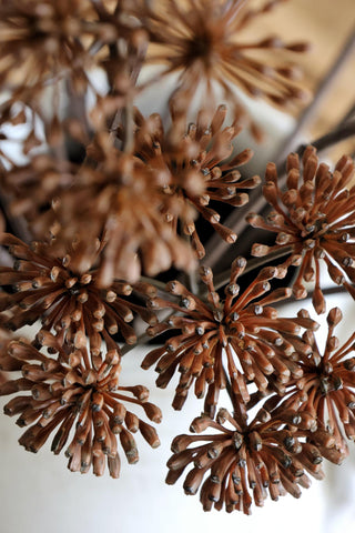 Faux Dried Angelica Spray