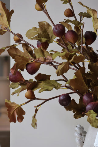 Artificial stem with autumn leaves and figs against a neutral background