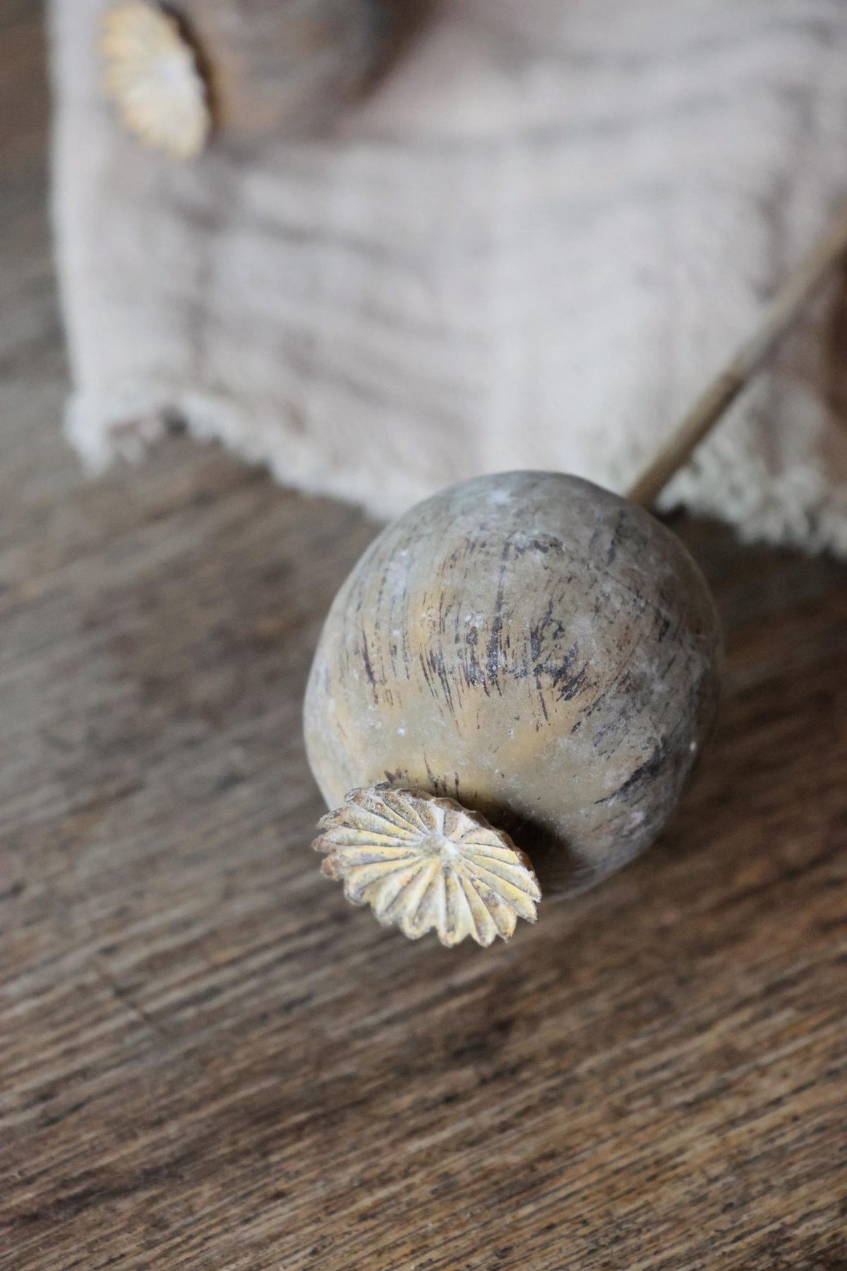 faux dried poppy spray