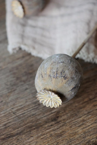 faux dried poppy spray