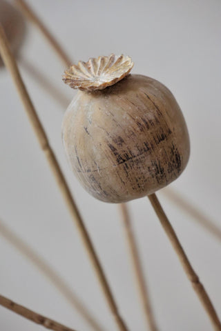 faux dried poppy pod on a neutral background