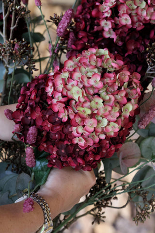 Faux Crimson Cone Hydrangea