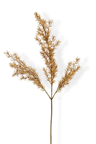 Artificial pampas grass stem on a white background