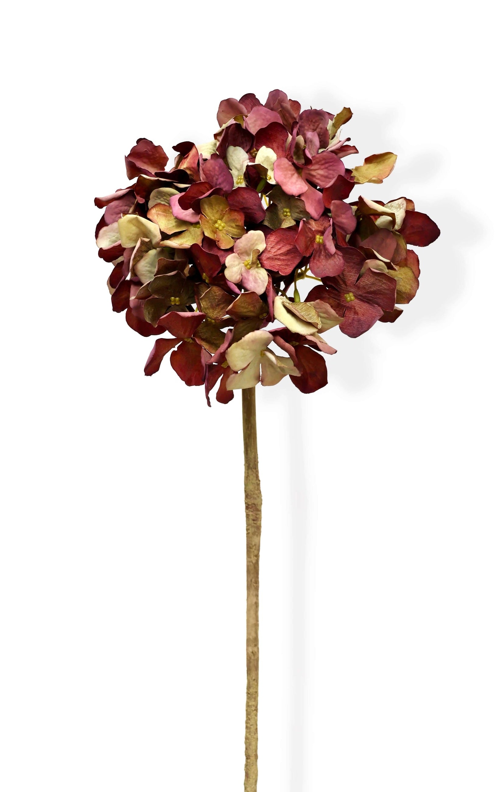 Artificial dried hydrangea stem with burgundy petals on a white background