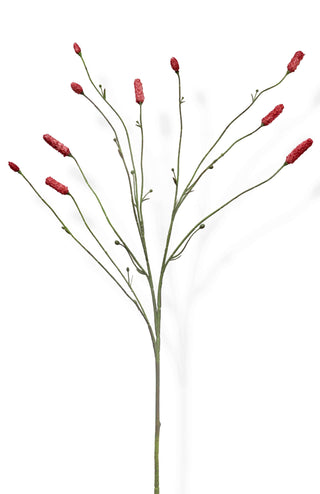 Artificial burnet branch with red buds on a white background