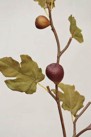 Faux Fig Branch
