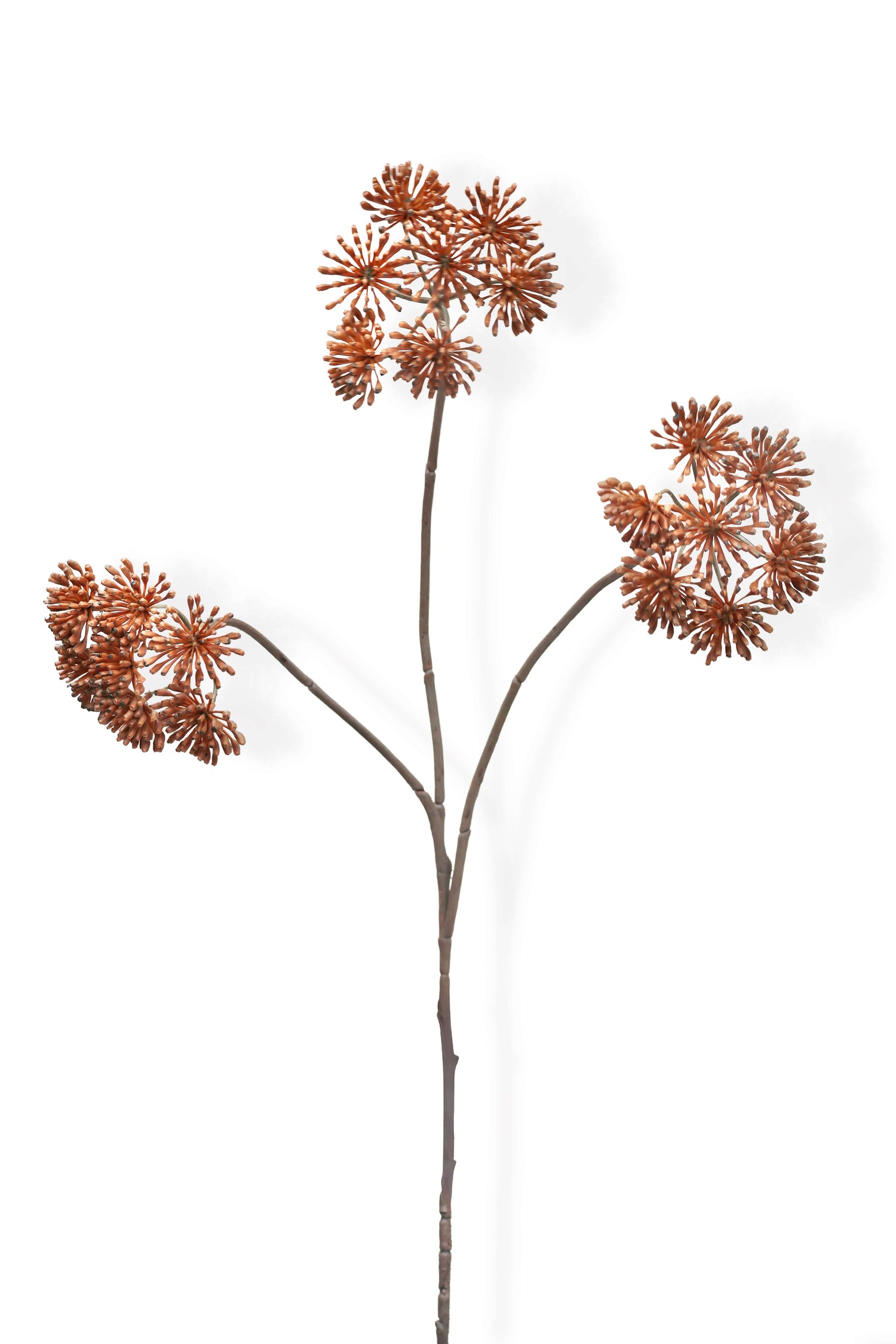 Faux Dried Angelica Spray