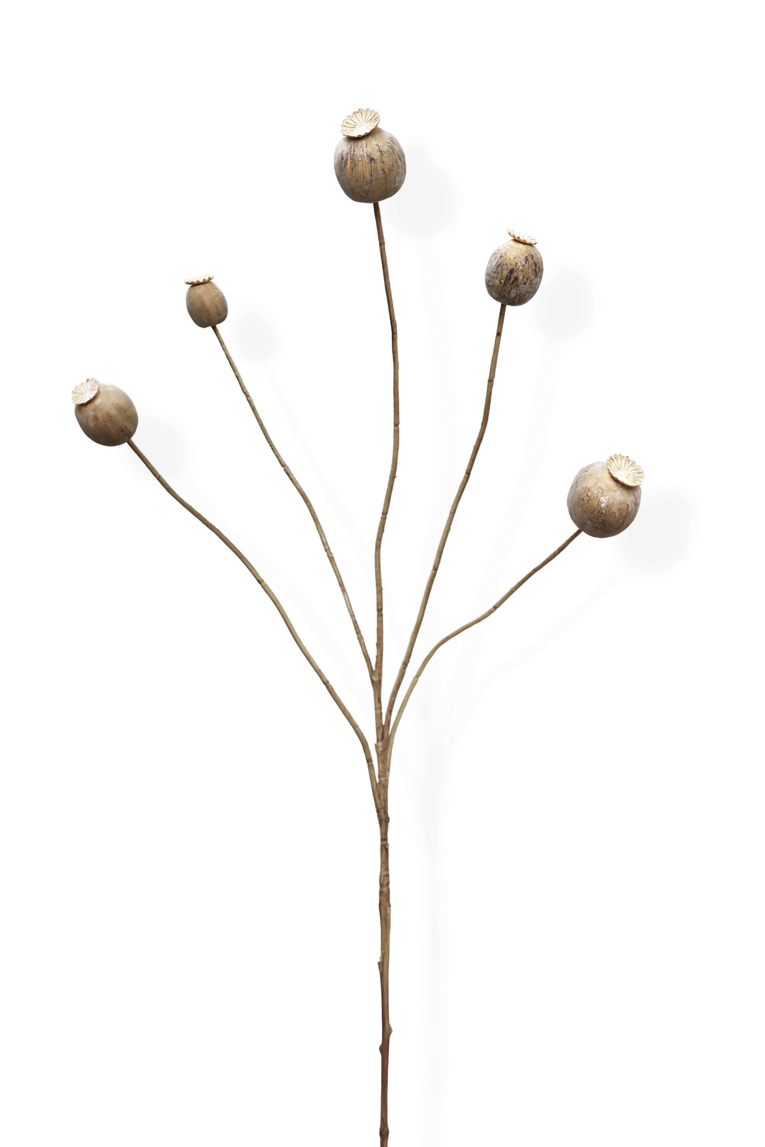 Faux Dried Poppy Spray