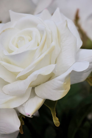 SECONDS Faux White Rose Bouquet 10 stems