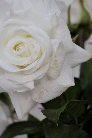 SECONDS Faux White Rose Bouquet 10 stems