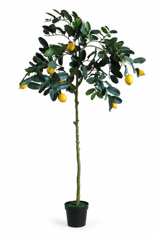 Faux Lemon Tree – UV Proof 180cm