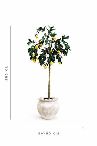 Faux Lemon Tree – UV Proof 180cm