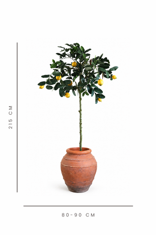Faux Lemon Tree – UV Proof 180cm