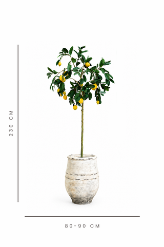Faux Lemon Tree – UV Proof 180cm