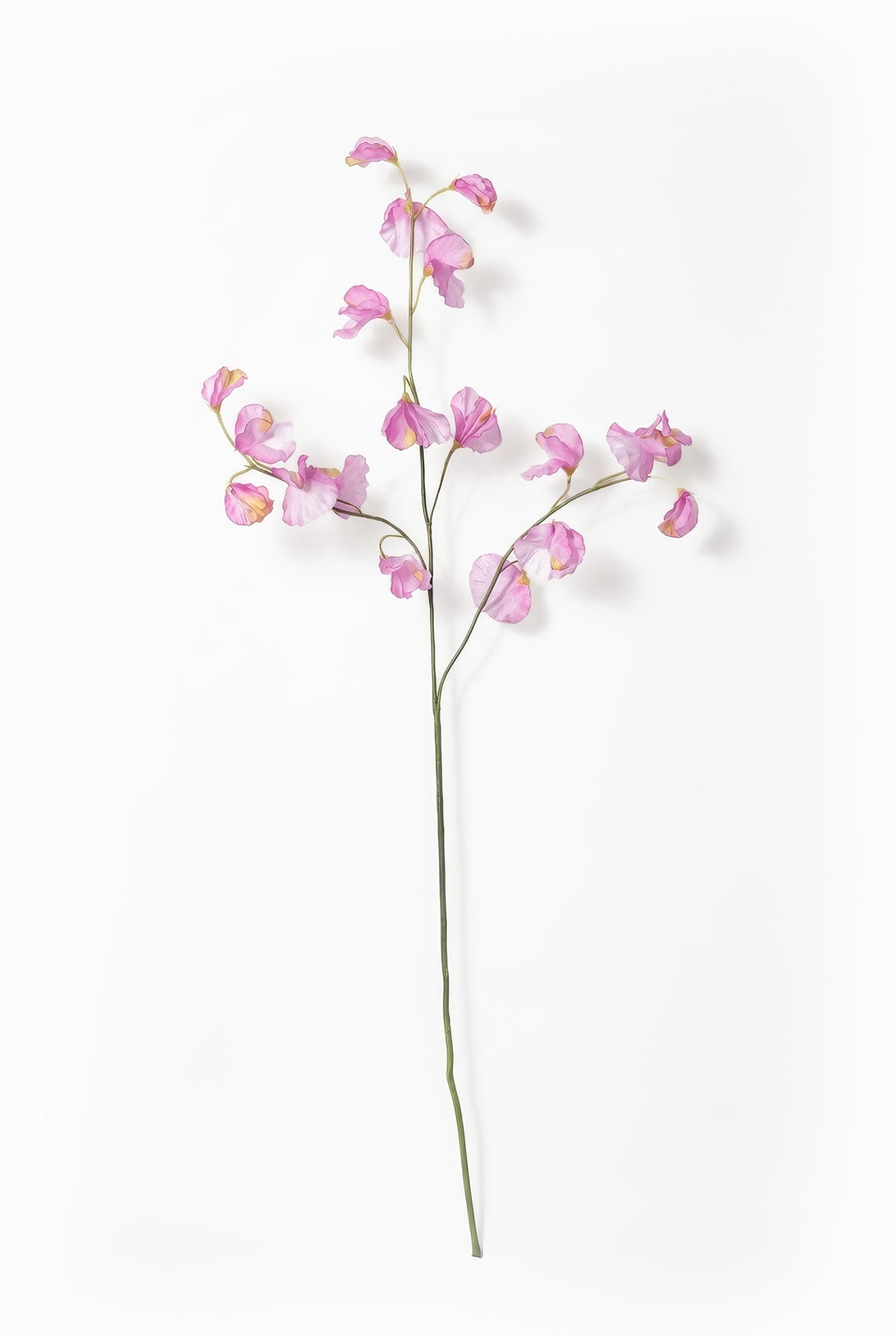 Artificial lilac sweetpea flower branch on a white background