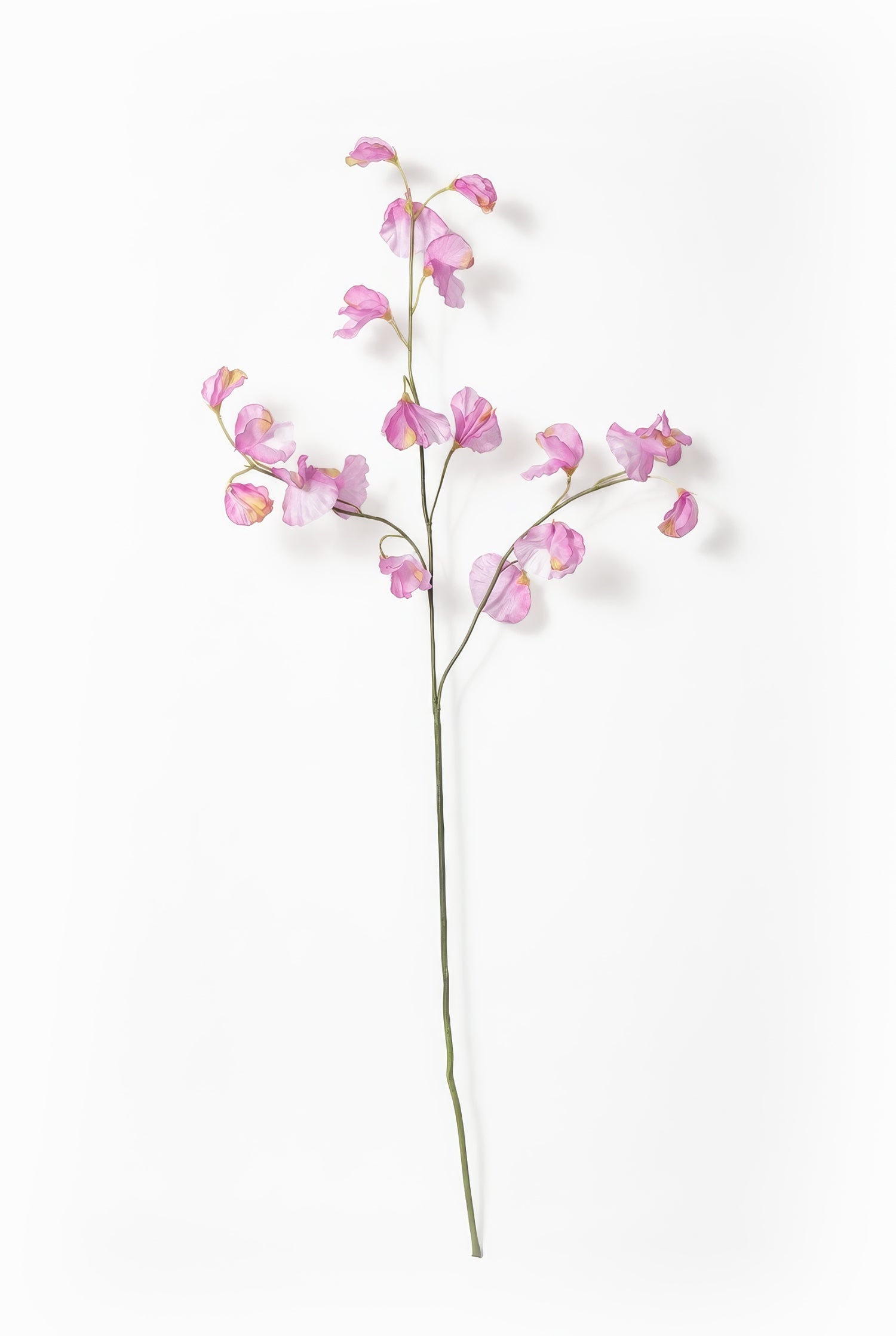 Artificial lilac sweetpea flower branch on a white background