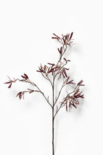 Maple Samaras Spray