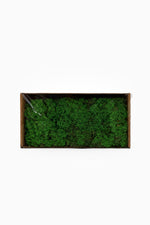 Preserved Reindeer Moss