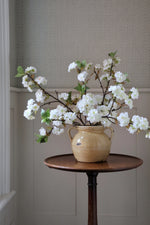 Vase with white flowers on a wooden table against a neutral wall