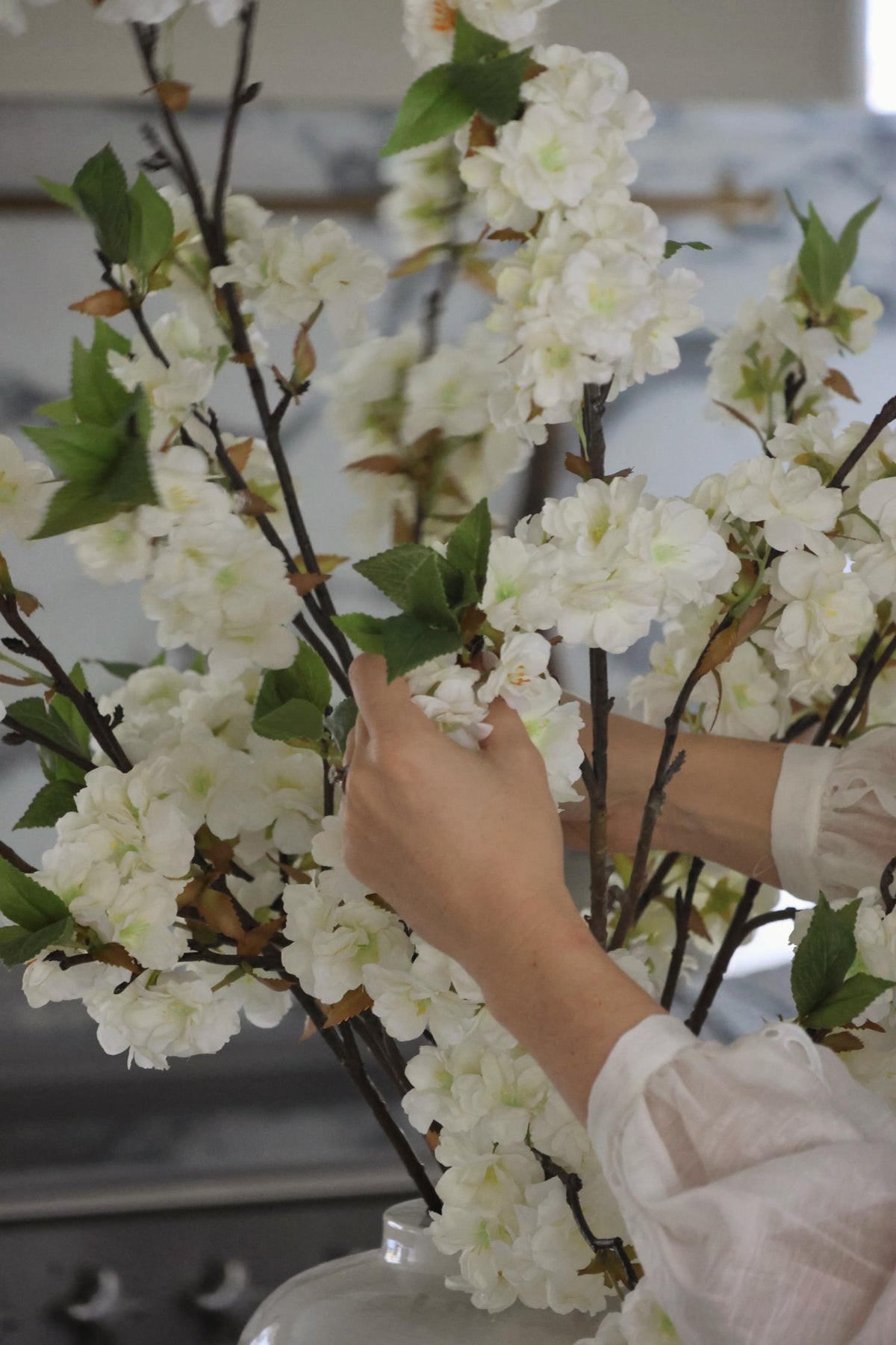 Pear blossom clos up with hands arranging it 