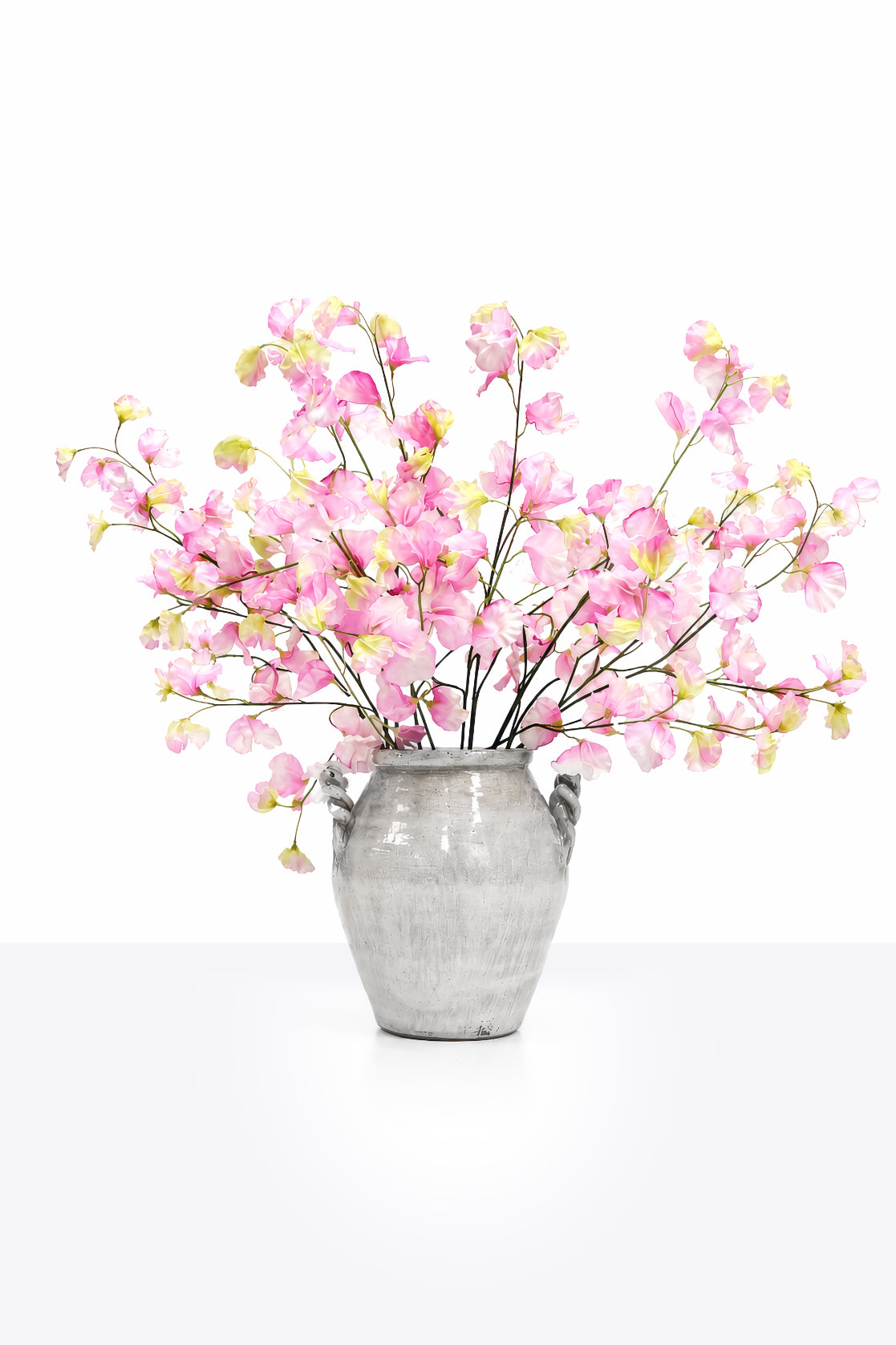 Pink Sweet Pea