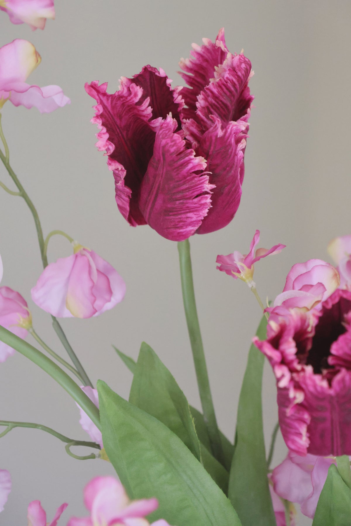 Close-up of pink and purple tulips with a blurred background