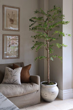 Living room with a beige sofa, decorative cushions, and a luxury artificial black olive tree in barrow stone effect planter