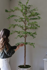 Woman interacting with a large artificial shady lady tree against a plain wall