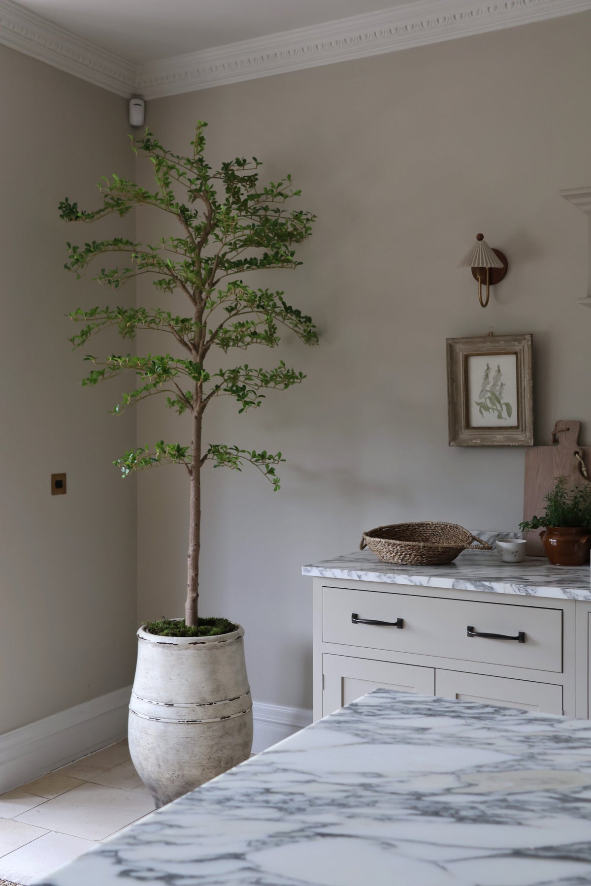 Room interior with a large artificial black olive tree in a pot, dresser, and wall decor.