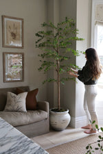 Woman arranging an artificial tree in a living room with a couch and framed pictures.