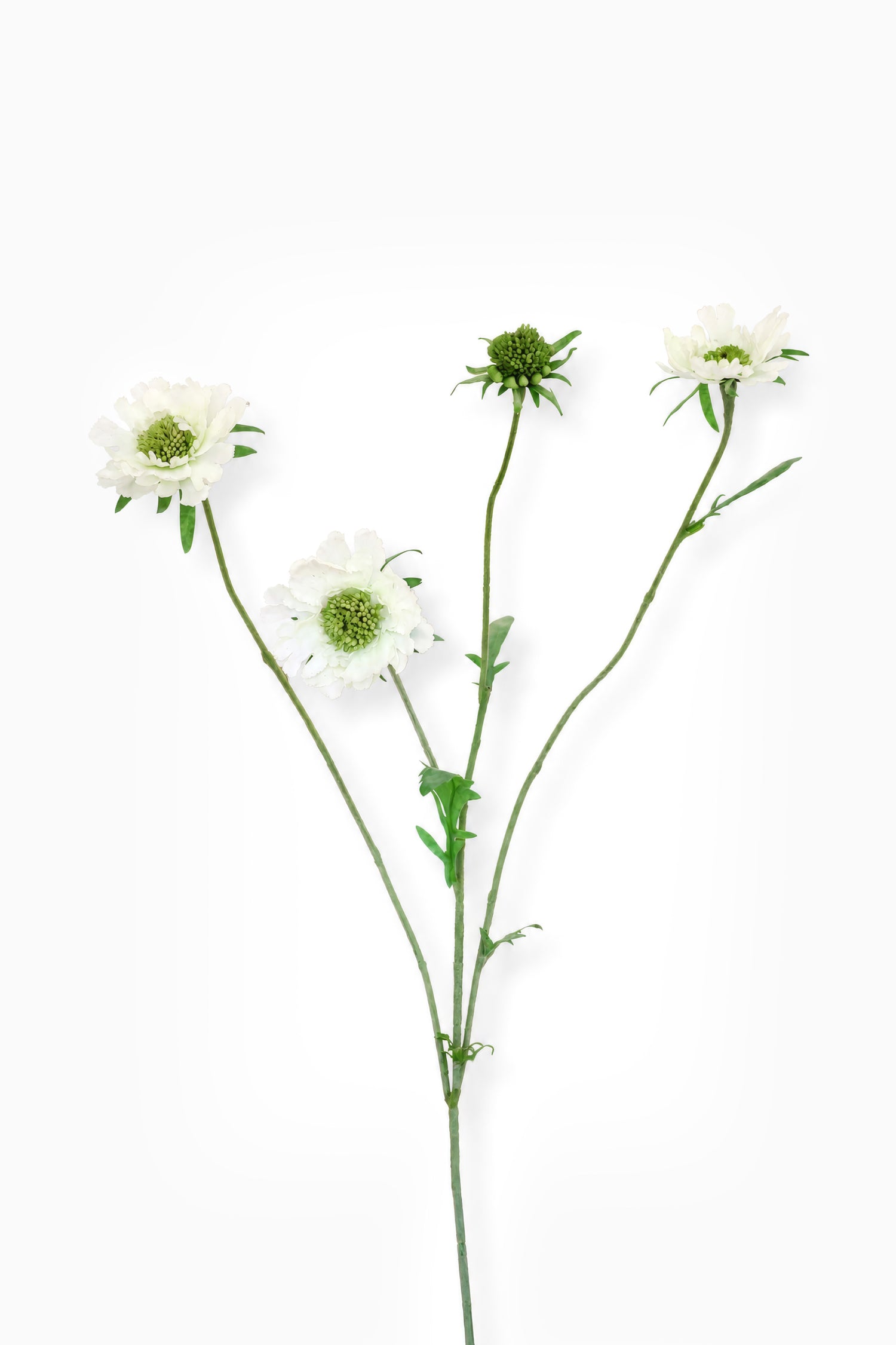 Faux White Scabious Spray