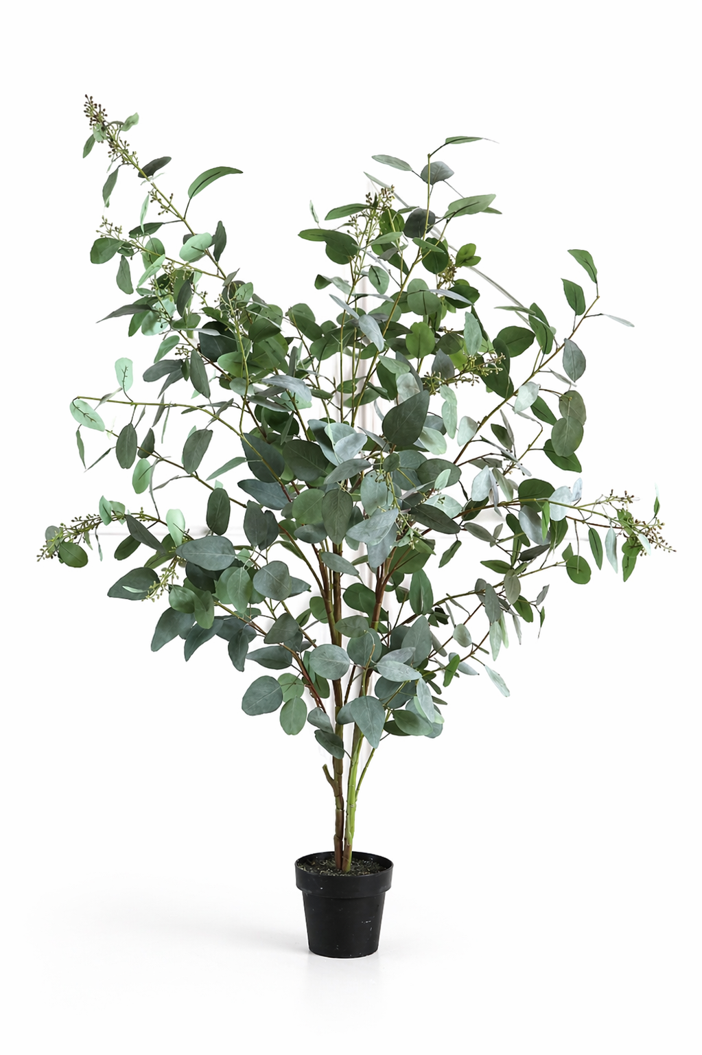 Faux Seeded Eucalyptus Tree - 170cm