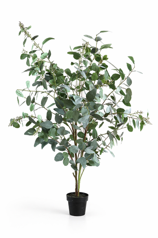 Faux Seeded Eucalyptus Tree - 170cm