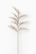 Wheat Grass