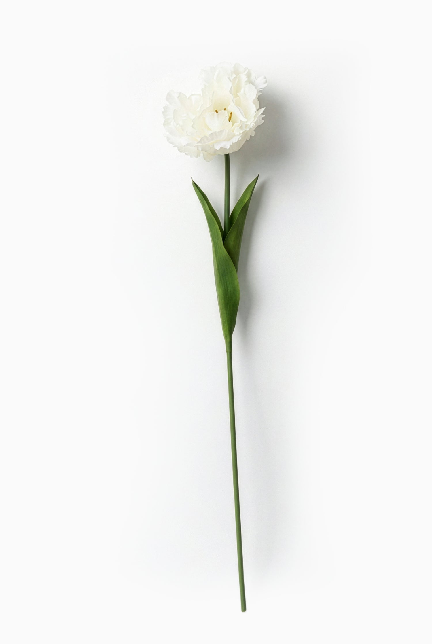 artificial Single white tulip with green stem on a light gray background