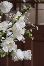 Close-up of white flowers with a blurred brown background