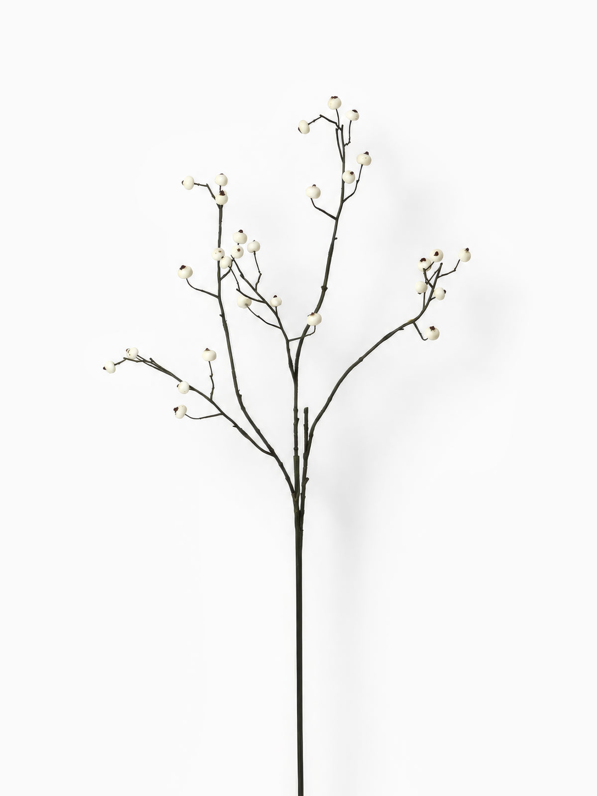 White Berry Branch