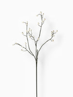 White Berry Branch