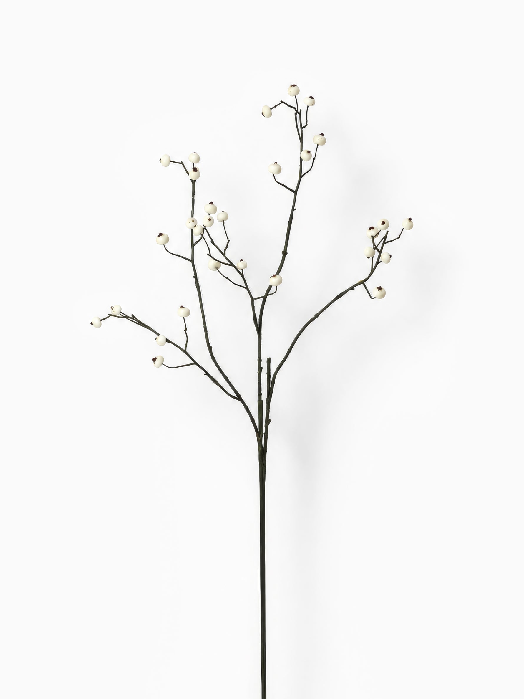 White Berry Branch