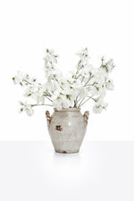 White Sweet Pea